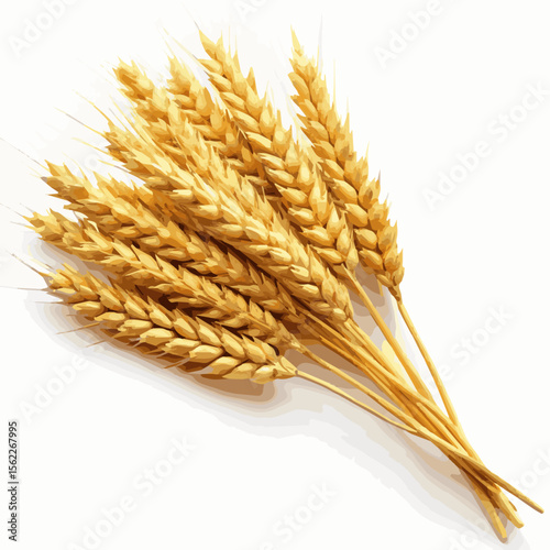 A vector of cyber golden wheat design 