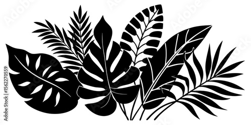 Silhouetted Tropical Foliage Abundance Artistic Botanical Display A Collection of Monstera and Palm Leaves Creating a Nature Inspired Design