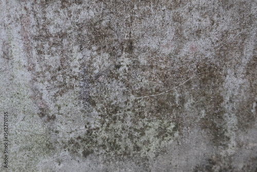 Wallpaper Mural Closeup of a weathered concrete wall with texture and imperfections Torontodigital.ca