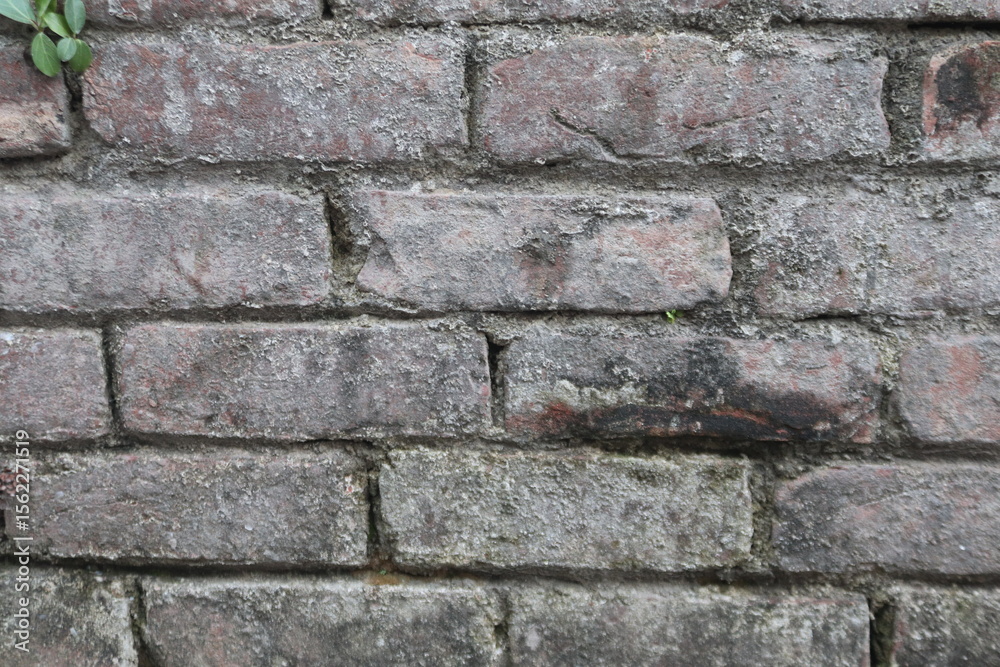 Fototapeta premium old brick wall background