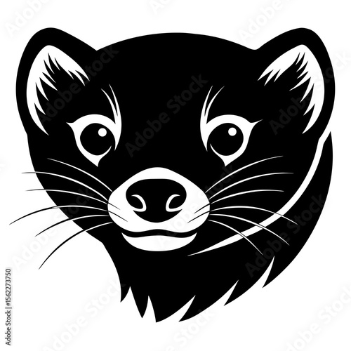 vector image of a cat
