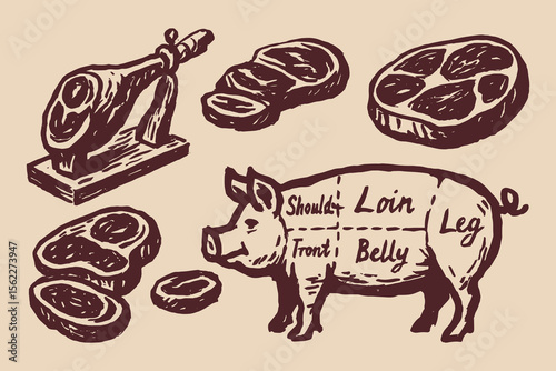 Pork meat cuts with pig sketch hand drawn vector illustration set