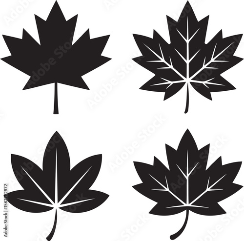 Maple leaf silhouette set vector illustration isolated On Transparent Background