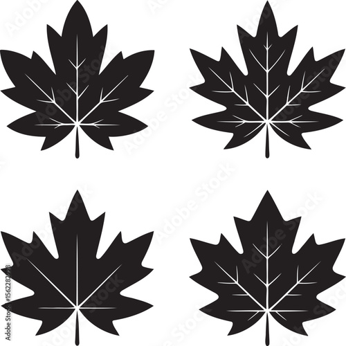 Maple leaf silhouette set vector illustration isolated On Transparent Background