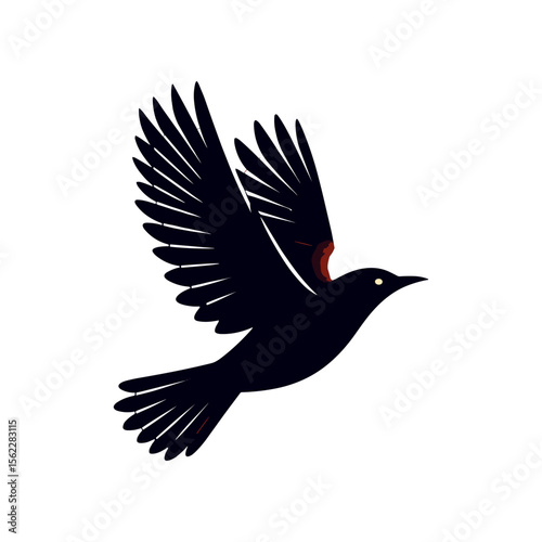 A silhouetted bird in flight, showcasing its wings spread wide against a plain background