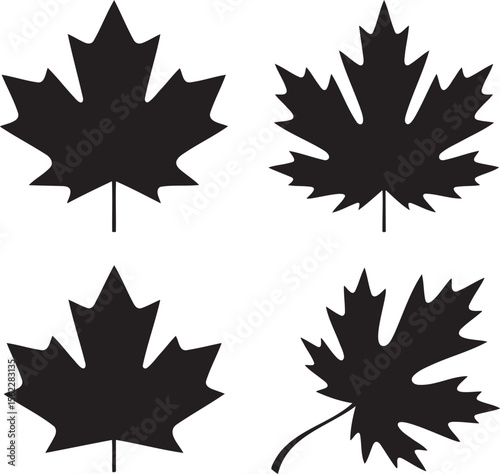 Maple leaf silhouette set vector illustration isolated On Transparent Background
