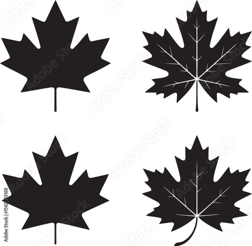 Maple leaf silhouette set vector illustration isolated On Transparent Background