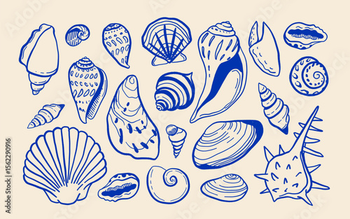 Vector set of mediterranean seashells in dolce vita style, blue on beige, vintage hand drawn look, crab claw, clams, scallops, conch, coastal summer aesthetic, minimal illustration