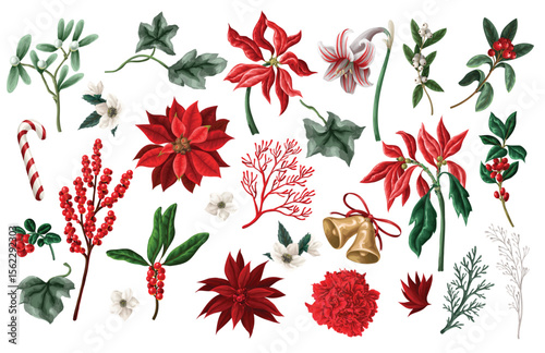 Vector red Christmas elements set with birds flowers and berries.