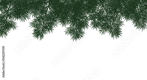 Tree branch overlay from top background vector illustration