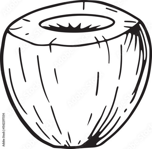 Adobe Illustrator Artwork coconut 
