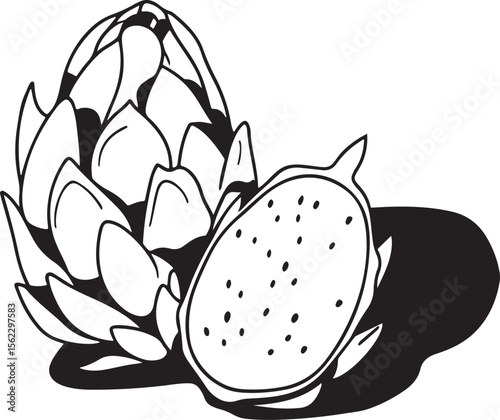 Adobe Illustrator Artwork: Dragon Fruit