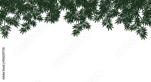 christmas tree branches