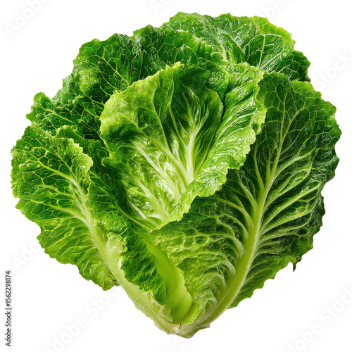 Fresh Green Lettuce Leaves Healthy Vegetable Isolated on Transparent Background

