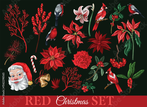 Vector red Christmas elements set with birds flowers and berries.