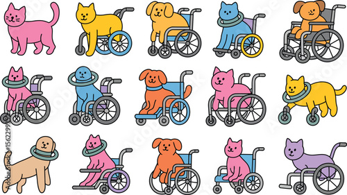 Disabled pets in wheelchairs cats and dogs animal rehabilitation mobility aids veterinary care support 