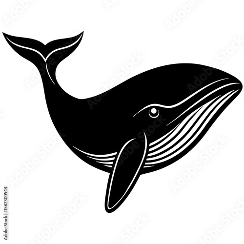 vector illustration of a dolphin
