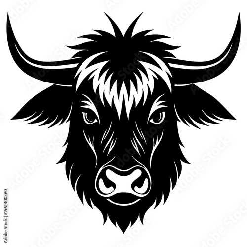 vector illustration of a bull