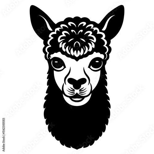vector illustration of a cartoon horse