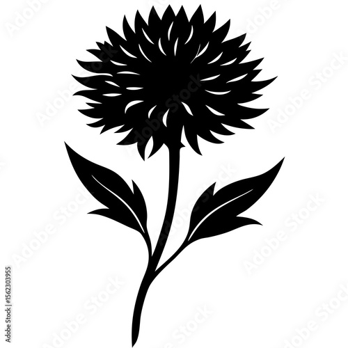 black and white flower