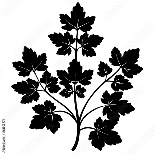 set of vine leaves
