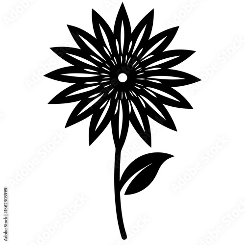 black and white flowers