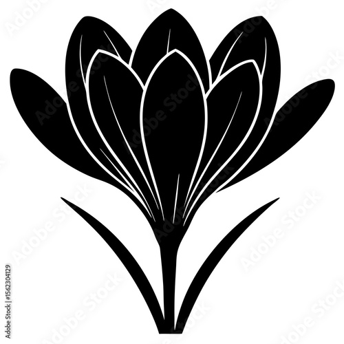 black and white flowers