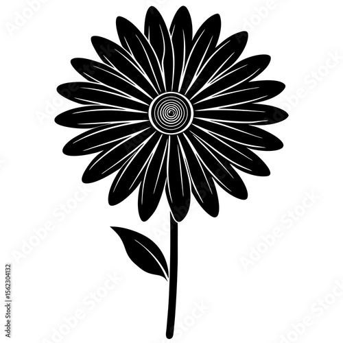 black and white flower