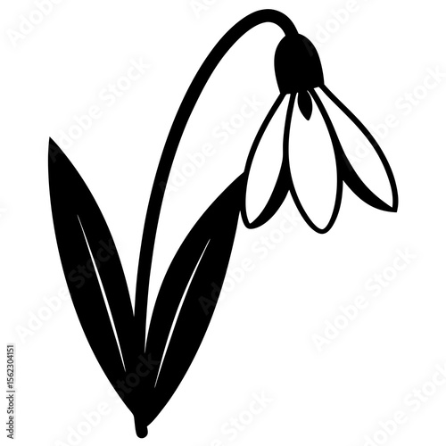 black and white flower