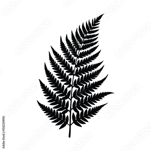 Black silhouette of a fern frond