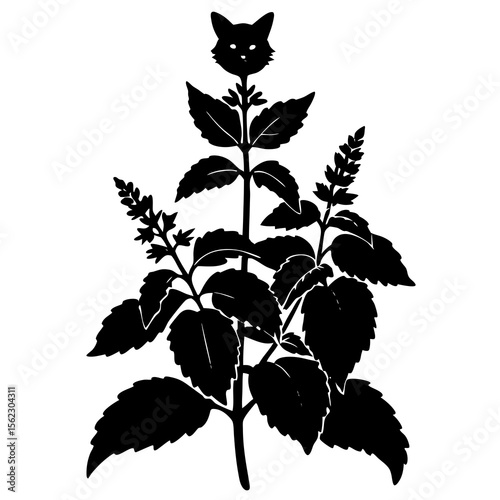black and white leaves
