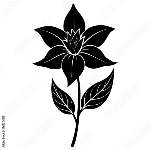 black and white flower