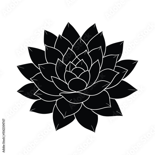 Black and white succulent flower silhouette