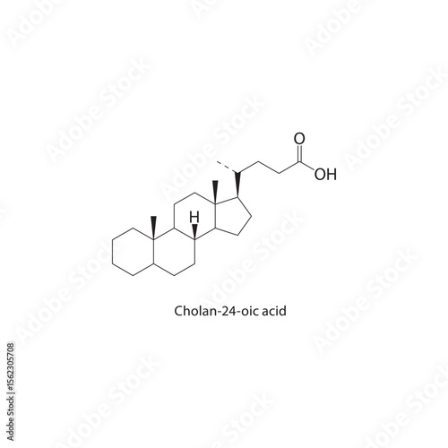 Cholan-24-oic acid skeletal structure. Bile acid compound schematic illustration. Simple diagram, chemical formula.