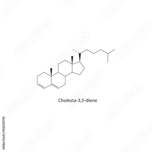 Cholesta-3,5-diene skeletal structure. Steroid compound schematic illustration. Simple diagram, chemical formula.