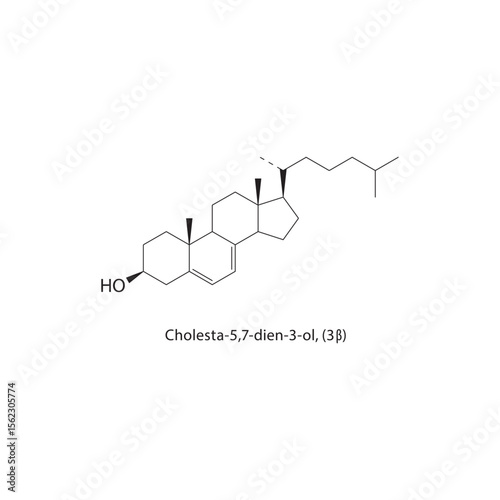 Cholesta-5,7-dien-3-ol, (3β) skeletal structure. Provitamin D compound schematic illustration. Simple diagram, chemical formula.