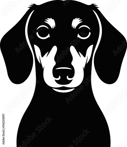 Dog Black and White