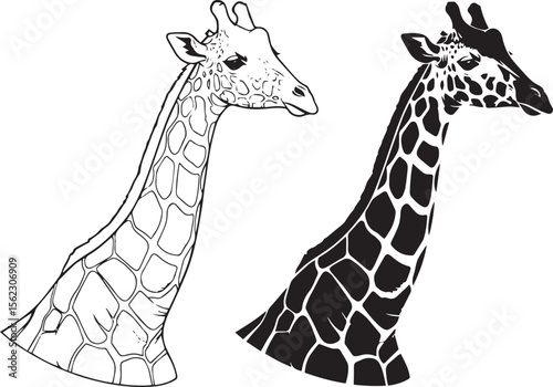 Giraffe Head Portrait Vector Illustration