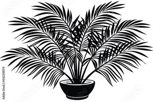 Elegant Potted Palm Tree Silhouette Tropical Indoor Plant Illustration