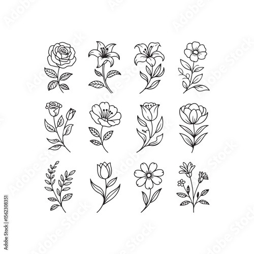 Vector illustration of various black line art floral designs on white background