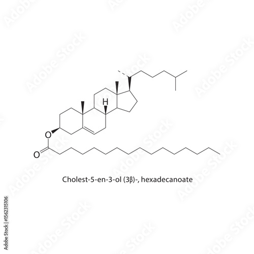 Cholest-5-en-3-ol (3β)-, hexadecanoate skeletal structure. Sterol ester compound schematic illustration. Simple diagram, chemical formula.