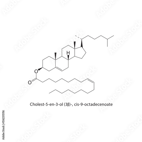 Cholest-5-en-3-ol (3β)-, cis-9-octadecenoate skeletal structure. Sterol ester compound schematic illustration. Simple diagram, chemical formula.