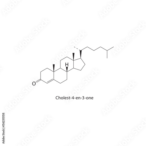 Cholest-4-en-3-one skeletal structure. Steroid ketone compound schematic illustration. Simple diagram, chemical formula.