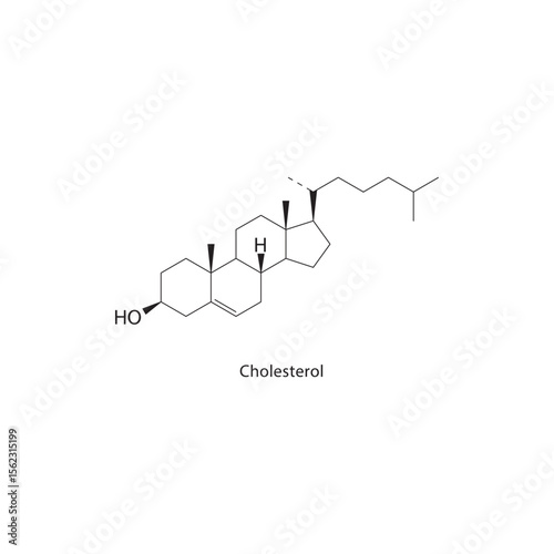 Cholesterol skeletal structure. Steroid compound schematic illustration. Simple diagram, chemical formula.