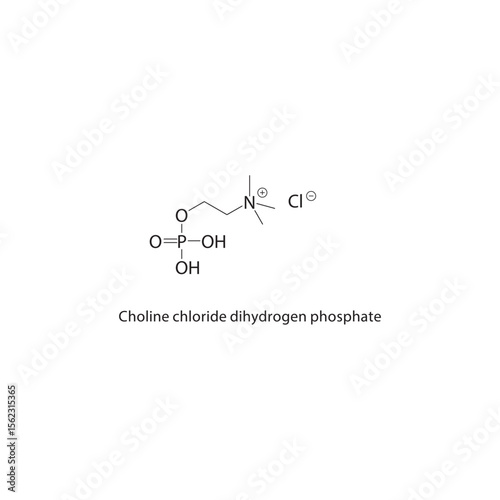 Choline chloride dihydrogen phosphate skeletal structure. Phosphorylated choline derivative compound schematic illustration. Simple diagram, chemical formula.