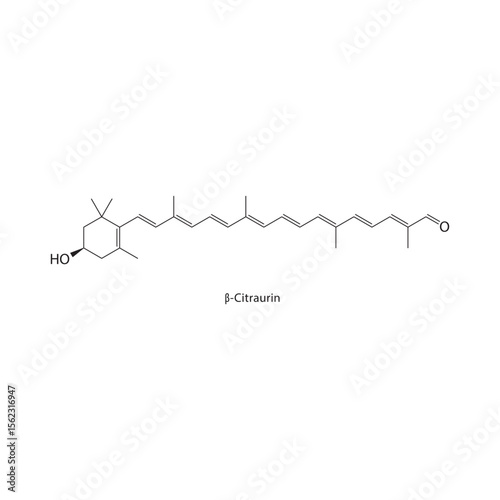 β-Citraurin skeletal structure. Natural carotenoid pigment compound schematic illustration. Simple diagram, chemical formula.