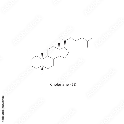 Cholestane, (5β) skeletal structure. Saturated steroid hydrocarbon compound schematic illustration. Simple diagram, chemical formula.