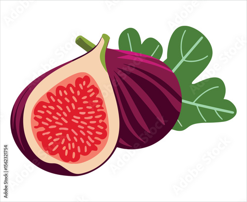Whole and halved fig vector illustration. Juicy fruit slice on white background, perfect for Mediterranean food branding and gourmet packaging designs.