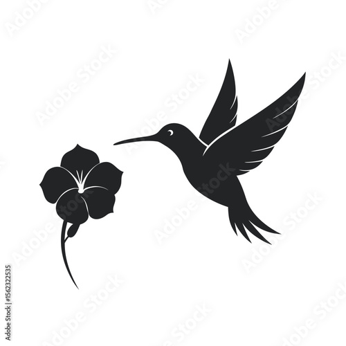 Hummingbird Hovering Over Flower Silhouette