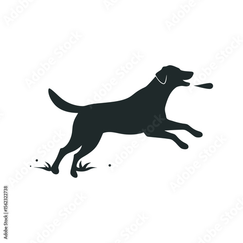 Lake Scene With Dog Fetching Stick Silhouette